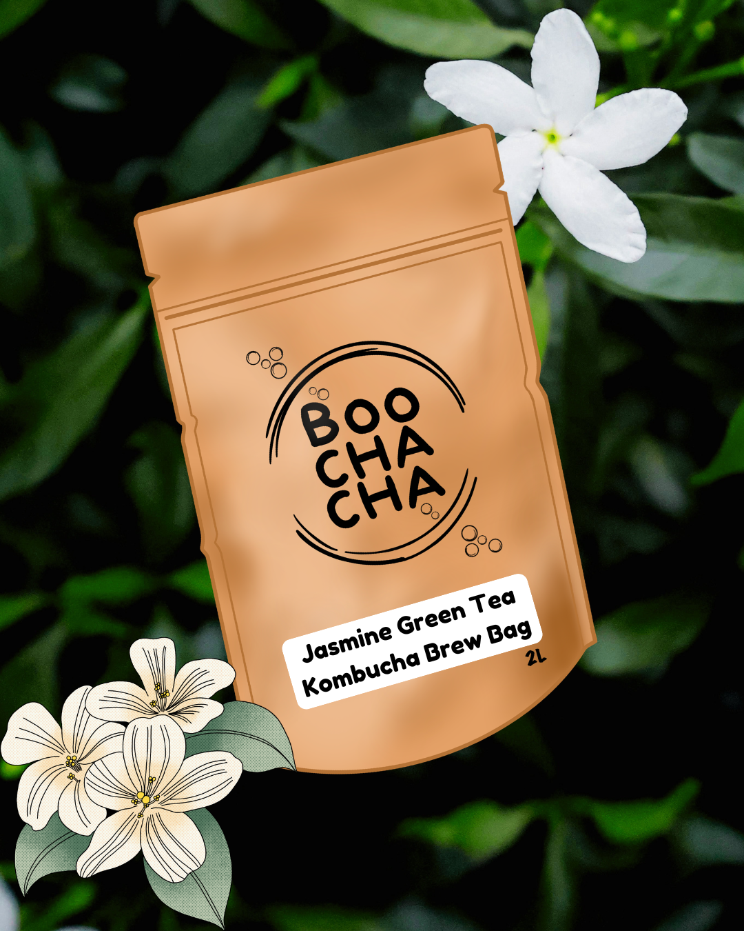 Jasmine Green Tea Kombucha Brew Bag