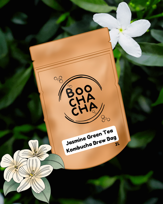 Jasmine Green Tea Kombucha Brew Bag