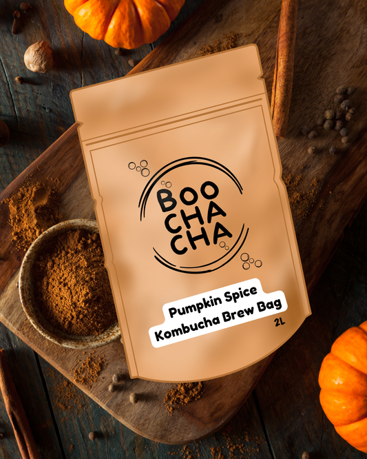 Pumpkin Spice Kombucha Brew Bag
