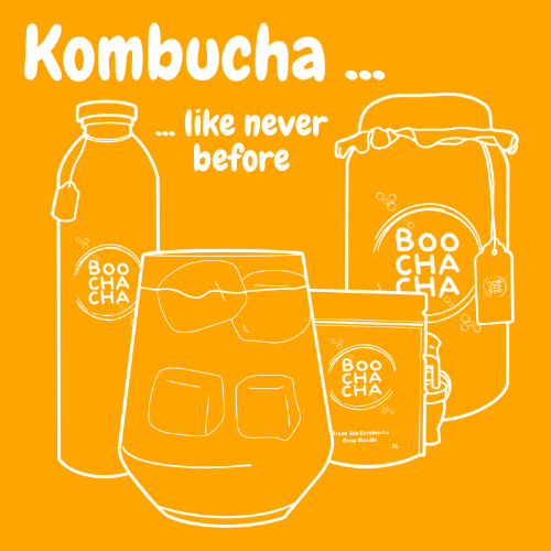 graphic of a boochacha kombucha starter kit with a delicious looking drink in the front of the image and the starter kit in the back ground, with the boochacha branding central