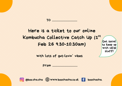 The Kombucha Collective Online Catch Up